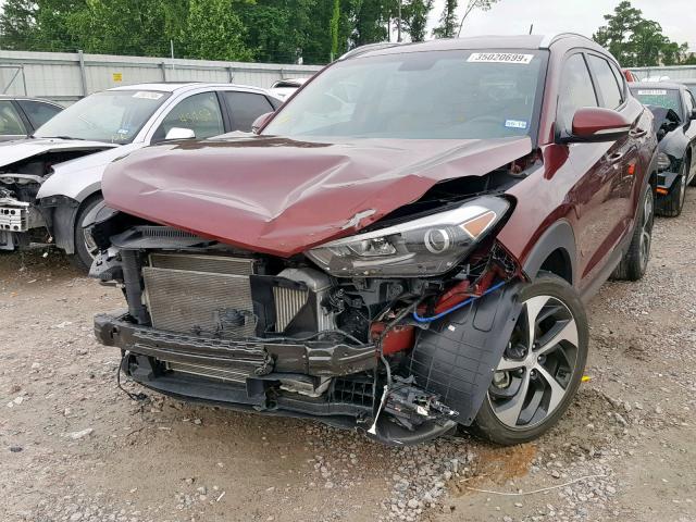 KM8J33A23GU184555 - 2016 HYUNDAI TUCSON LIM RED photo 2