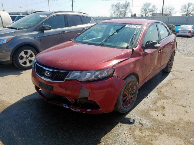 KNAFU4A27A5169679 - 2010 KIA FORTE EX  photo 2