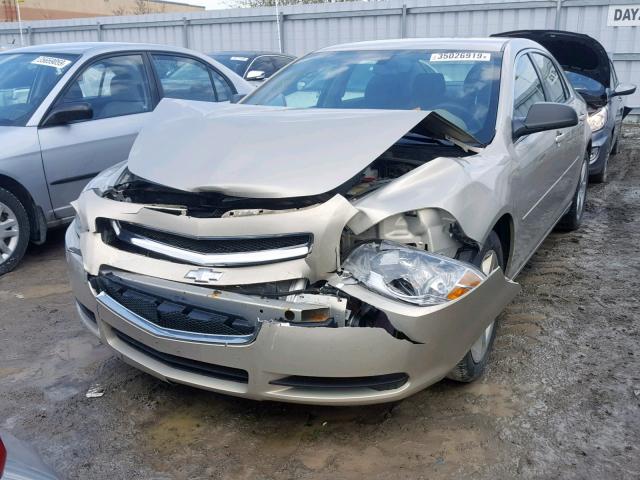 1G1ZB5E04AF260920 - 2010 CHEVROLET MALIBU LS GOLD photo 2