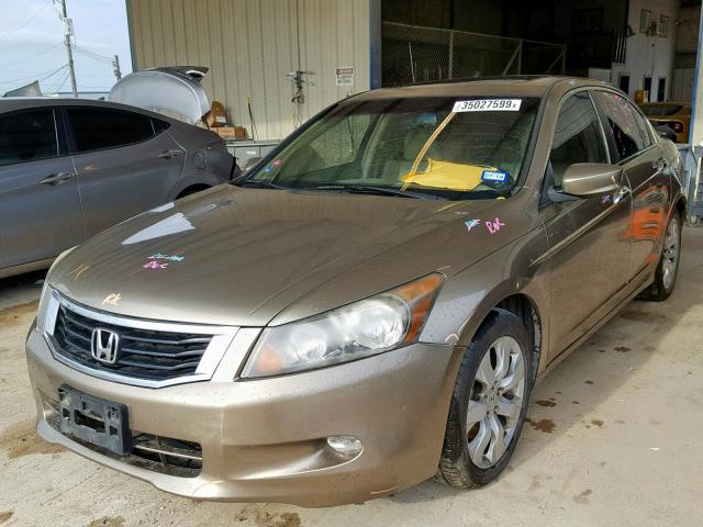 1HGCP368X8A076596 - 2008 HONDA ACCORD EXL TAN photo 2