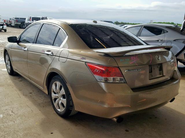 1HGCP368X8A076596 - 2008 HONDA ACCORD EXL TAN photo 3