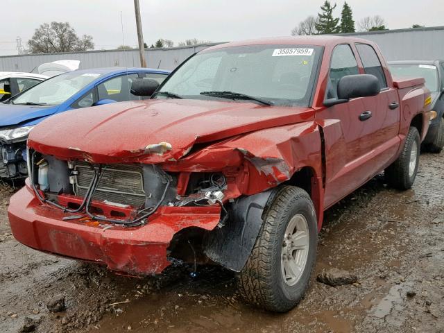 1D7HW48N48S538943 - 2008 DODGE DAKOTA QUA MAROON photo 2