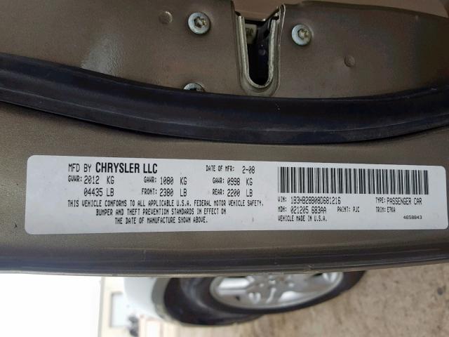 1B3HB28B08D681216 - 2008 DODGE CALIBER GOLD photo 10