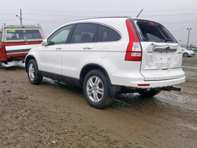 5J6RE4H74BL117738 - 2011 HONDA CR-V EXL WHITE photo 3