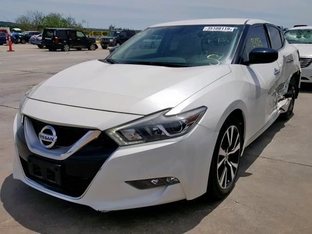 1N4AA6AP2GC429493 - 2016 NISSAN MAXIMA 3.5 WHITE photo 2