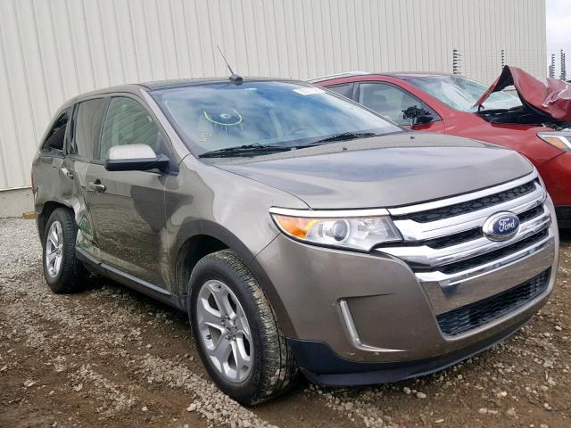 2FMDK4JC7DBC14091 - 2013 FORD EDGE SEL BEIGE photo 1