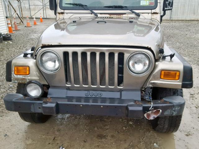 1J4FA49S82P753881 - 2002 JEEP WRANGLER / BEIGE photo 9