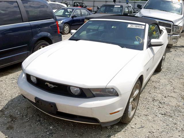 1ZVBP8FF1B5141161 - 2011 FORD MUSTANG GT WHITE photo 2