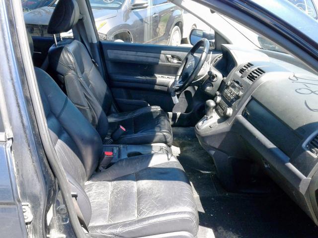 JHLRE48797C104404 - 2007 HONDA CR-V EXL BLUE photo 5