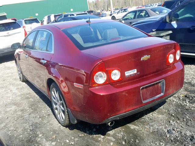 1G1ZE5E18BF123514 - 2011 CHEVROLET MALIBU LTZ მუქწითელი ფოტო 3