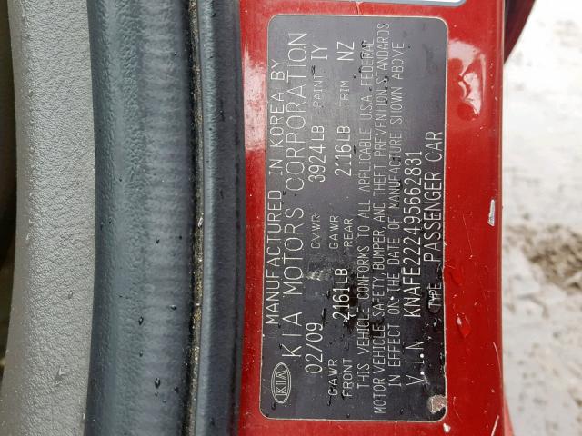 KNAFE222495662831 - 2009 KIA SPECTRA EX RED photo 10