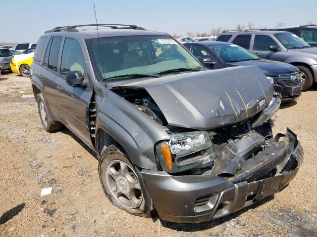 1GNDT13S082140813 - 2008 CHEVROLET TRAILBLAZER LS  photo 1