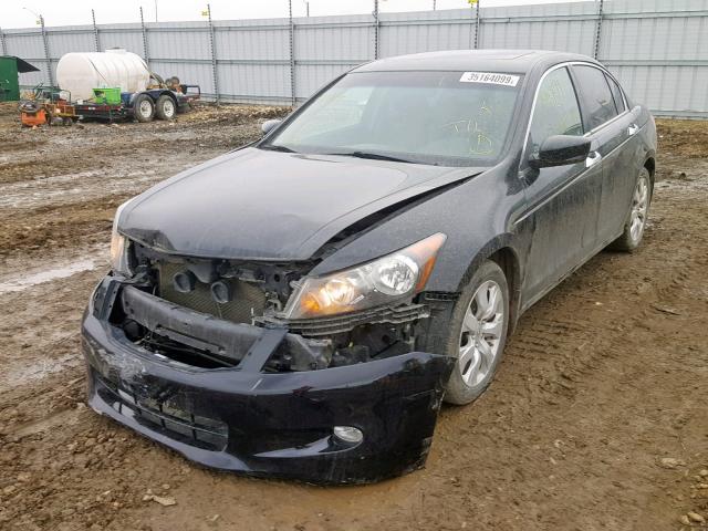 1HGCP36849A800932 - 2009 HONDA ACCORD EXL BLACK photo 2