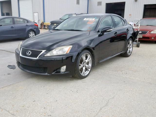 JTHBK262795102577 - 2009 LEXUS IS 250 BLACK photo 2