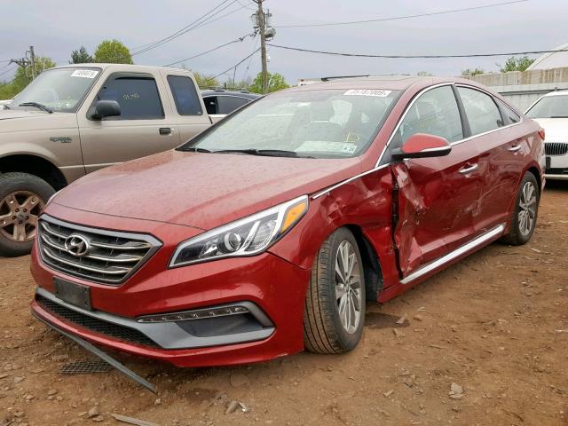 5NPE34AF2GH421285 - 2016 HYUNDAI SONATA SPO MAROON photo 2