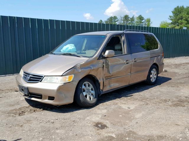 5FNRL18733B009304 - 2003 HONDA ODYSSEY EX GOLD photo 2