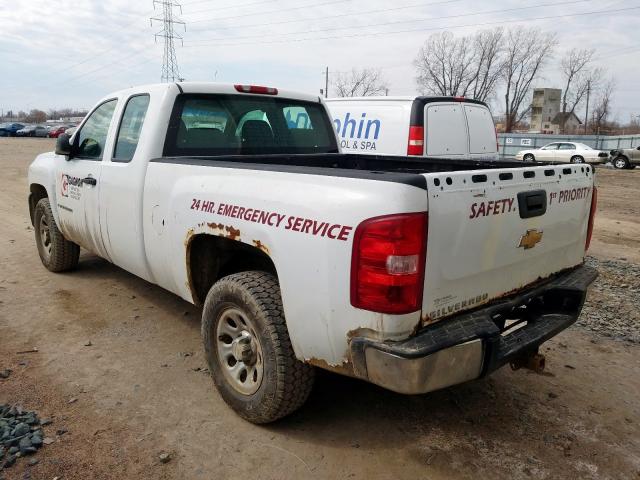 1GCEC19C67Z506678 - 2007 CHEVROLET SILVERADO C1500  photo 3