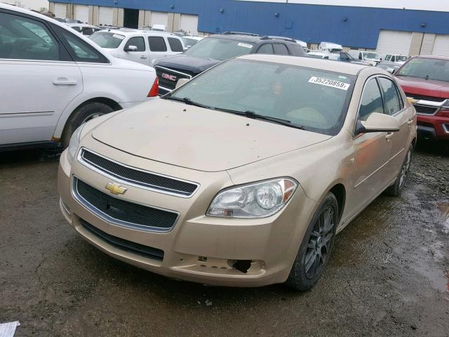 1G1ZH57B884202442 - 2008 CHEVROLET MALIBU 1LT GOLD photo 2