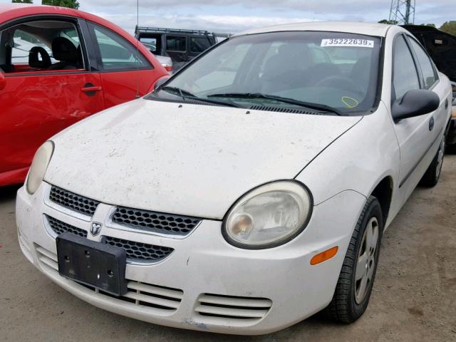 1B3ES26C05D102350 - 2005 DODGE NEON BASE WHITE photo 2