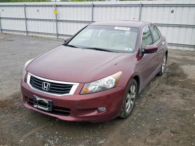 1HGCP36859A048920 - 2009 HONDA ACCORD EXL BURGUNDY photo 2