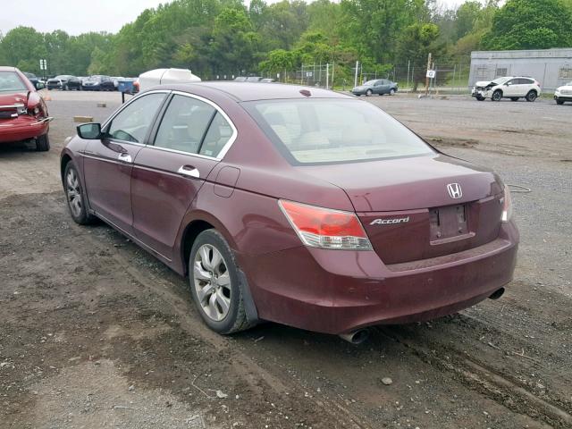 1HGCP36859A048920 - 2009 HONDA ACCORD EXL BURGUNDY photo 3