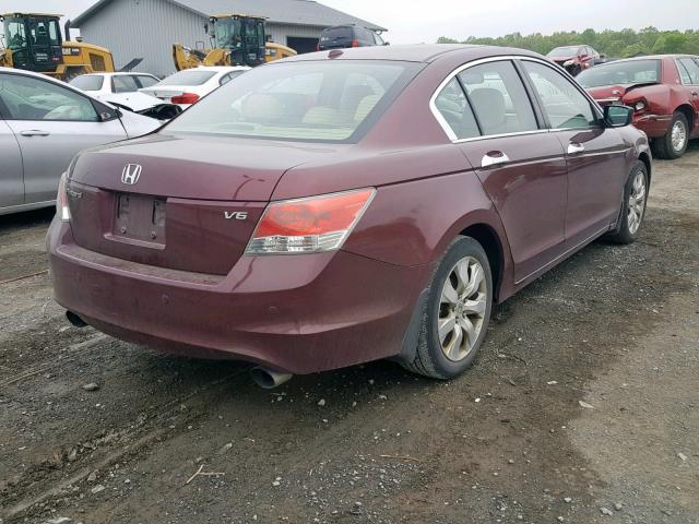 1HGCP36859A048920 - 2009 HONDA ACCORD EXL BURGUNDY photo 4