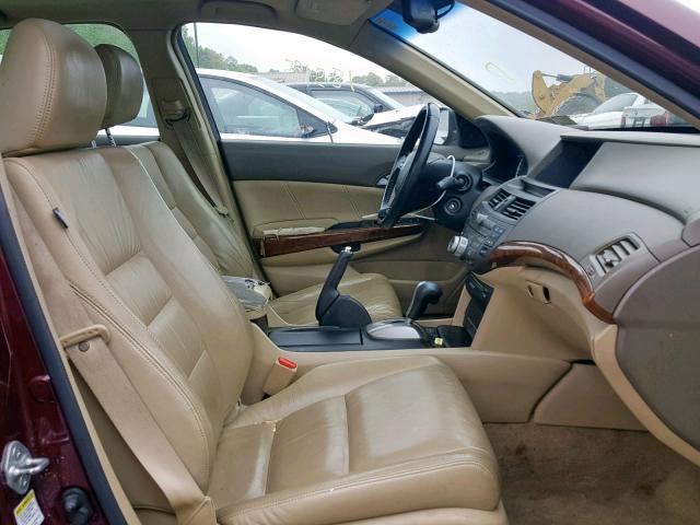 1HGCP36859A048920 - 2009 HONDA ACCORD EXL BURGUNDY photo 5