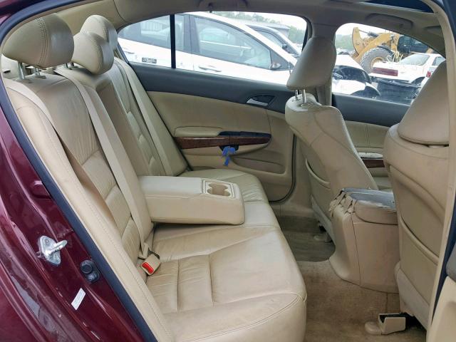 1HGCP36859A048920 - 2009 HONDA ACCORD EXL BURGUNDY photo 6