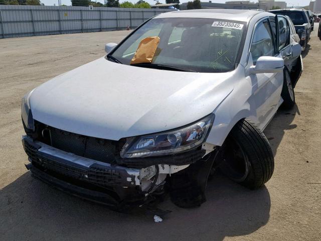 1HGCR2F88EA023198 - 2014 HONDA ACCORD EXL WHITE photo 2