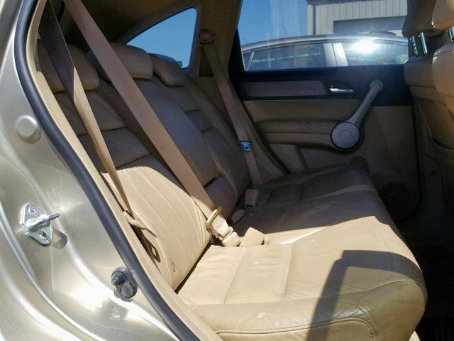 JHLRE48707C056663 - 2007 HONDA CR-V EXL GOLD photo 6