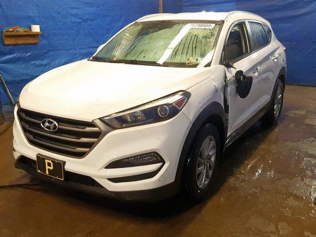 KM8J3CA45GU077170 - 2016 HYUNDAI TUCSON LIM WHITE photo 2