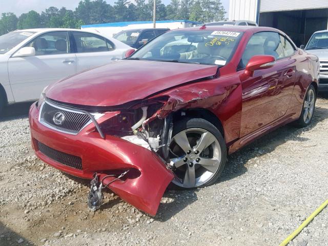 JTHFF2C28A2514264 - 2010 LEXUS IS 250 RED photo 2