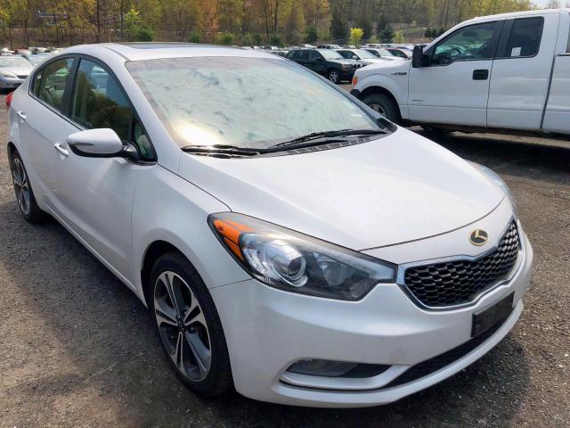 KNAFZ4A89E5099999 - 2014 KIA FORTE EX WHITE photo 1