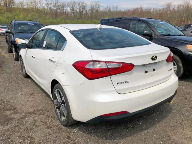 KNAFZ4A89E5099999 - 2014 KIA FORTE EX WHITE photo 2