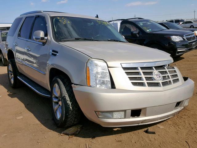 1GYFK63868R161799 - 2008 CADILLAC ESCALADE L TAN photo 1