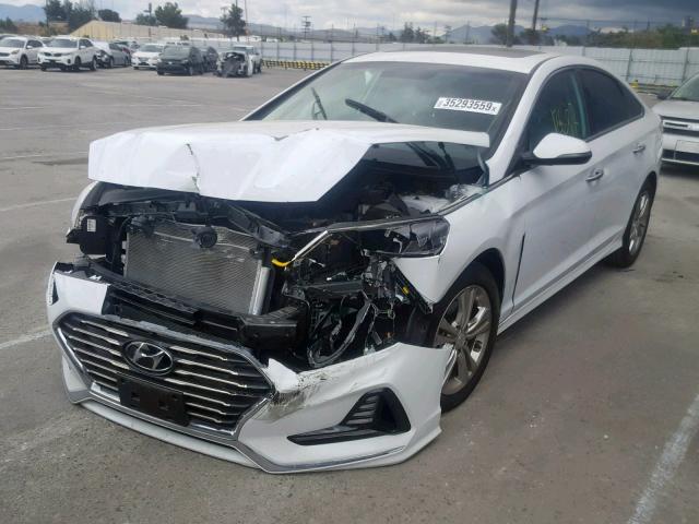 5NPE34AF4JH667391 - 2018 HYUNDAI SONATA SPO WHITE photo 2