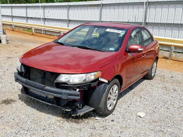 KNAFU4A28A5859926 - 2010 KIA FORTE EX RED photo 2