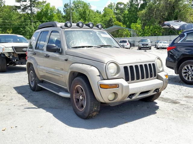 1J4GK38K23W579679 - 2003 JEEP LIBERTY RE TAN photo 1