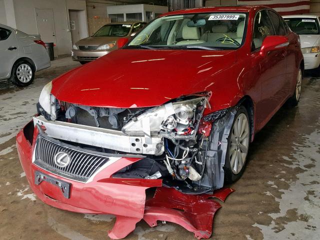 JTHCF5C22A5043778 - 2010 LEXUS IS 250 RED photo 2