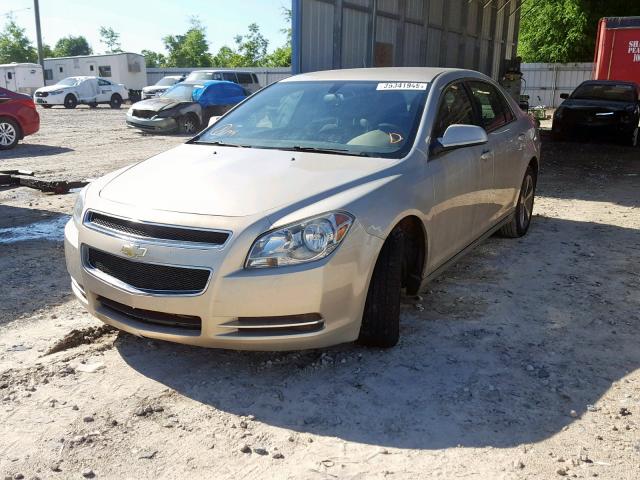 1G1ZC5EU4BF169602 - 2011 CHEVROLET MALIBU 1LT 金色 照片 2