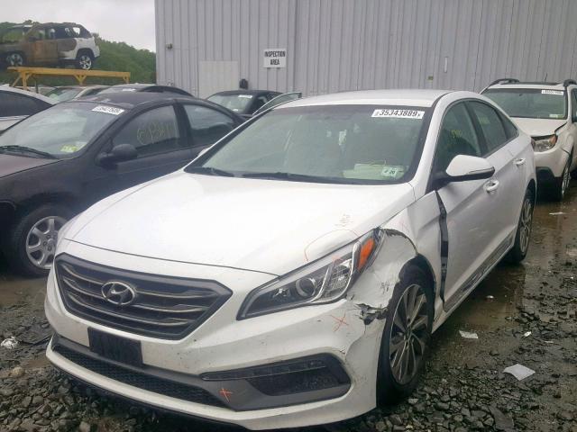 5NPE34AF8FH109065 - 2015 HYUNDAI SONATA SPO WHITE photo 2