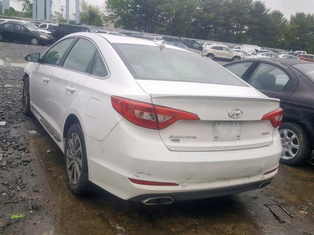 5NPE34AF8FH109065 - 2015 HYUNDAI SONATA SPO WHITE photo 3