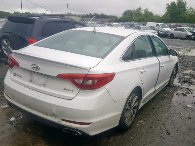 5NPE34AF8FH109065 - 2015 HYUNDAI SONATA SPO WHITE photo 4