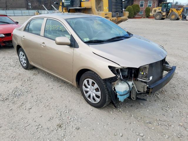 1NXBU4EE5AZ292677 - 2010 TOYOTA COROLLA BASE  photo 1