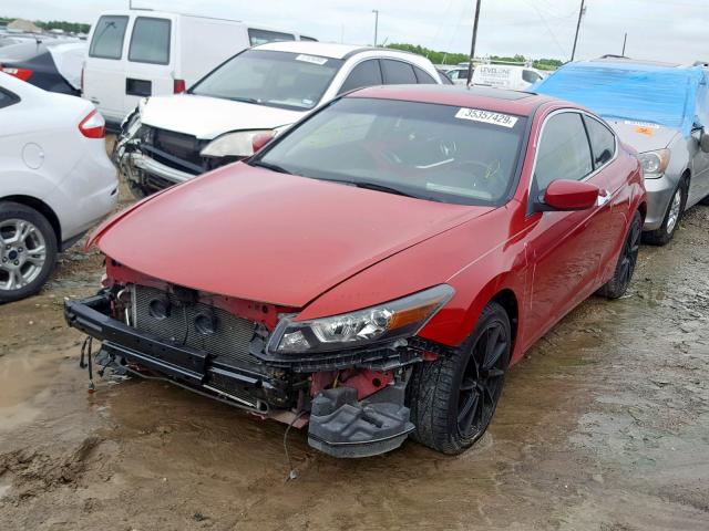 1HGCS228X8A005851 - 2008 HONDA ACCORD EXL RED photo 2