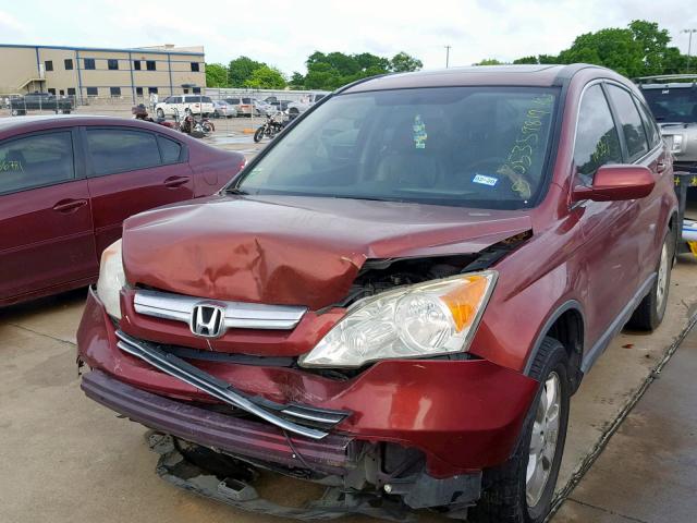 JHLRE387X8C021401 - 2008 HONDA CR-V EXL BURGUNDY photo 2