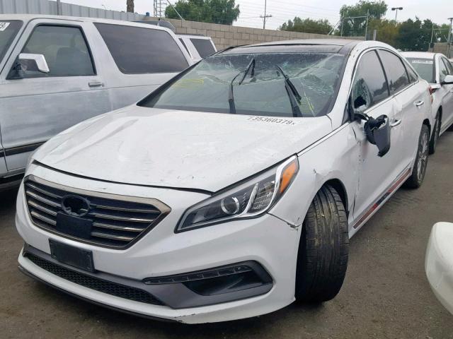 5NPE34AB0FH247373 - 2015 HYUNDAI SONATA SPO WHITE photo 2