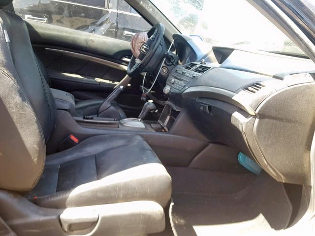 1HGCS12889A002443 - 2009 HONDA ACCORD EXL BLACK photo 5