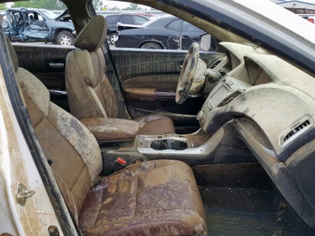 19UUB3F56GA000591 - 2016 ACURA TLX TECH WHITE photo 5
