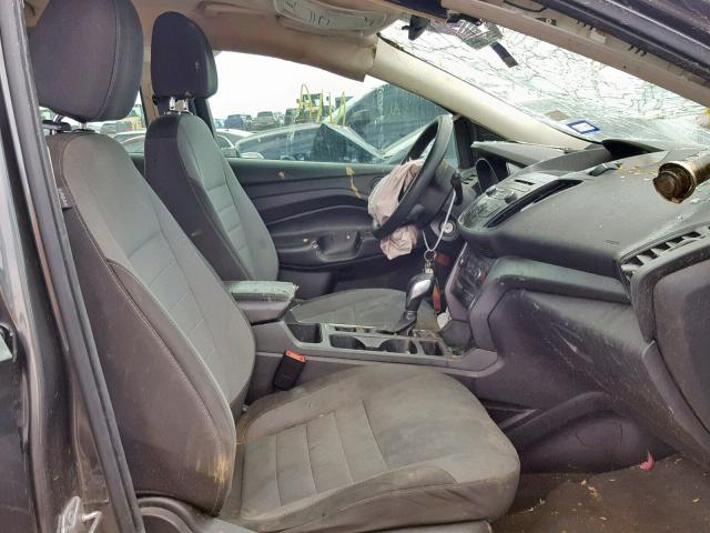 1FMCU0F71HUC48666 - 2017 FORD ESCAPE S GRAY photo 5